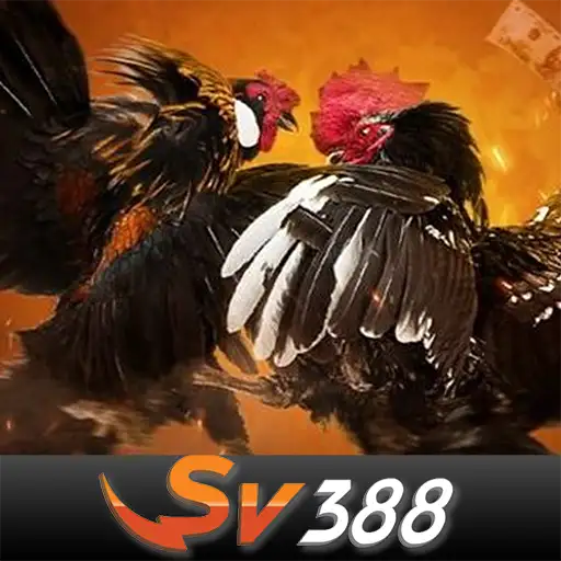 SV388
